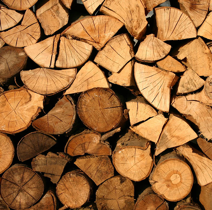 Troncos de madera apilados cortados.